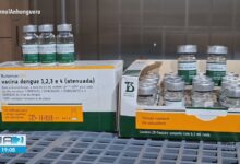 Ministério da Saúde suspende aplicação da vacina contra dengue do Butantan