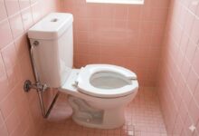 Assentos sanitários em U: a funcionalidade e higiene por trás do design em banheiros públicos