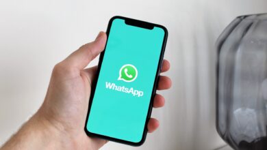 Goiás revoluciona atendimento público com serviços via Whatsapp