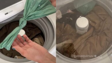 Desvendado o segredo caseiro para eliminar pelos e fiapos da sua lavagem de roupas