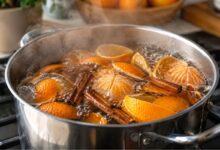 Aromatizador natural com casca de tangerina e canela transforma o ambiente doméstico