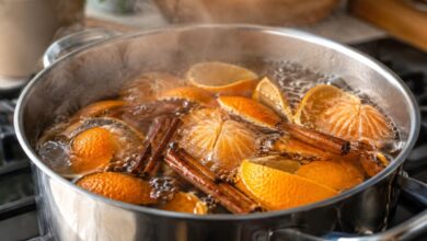 Aromatizador natural com casca de tangerina e canela transforma o ambiente doméstico