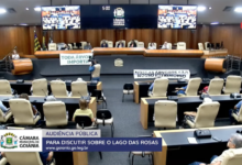 Audiência na Câmara de Goiânia debate impasse sobre corte de árvores no Lago das Rosas