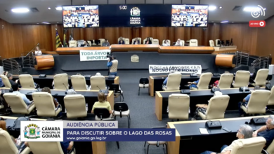 Audiência na Câmara de Goiânia debate impasse sobre corte de árvores no Lago das Rosas