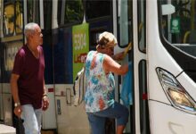 Carteira da Pessoa Idosa: saiba como acessar viagens gratuitas e descontos em transportes