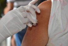 Aparecida de Goiânia suspende temporariamente vacina contra dengue do Butantan seguindo orientação nacional