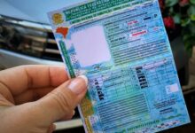 CNH automática: governo simplifica renovação para motoristas sem infrações no Brasil