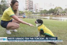 Copa do Mundo em Goiás ganha destaque no programa na Torcida deste sábado