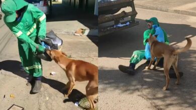 Coletor de lixo de Anápolis e cachorro caramelo encantam a internet com rotina de trabalho