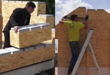 Tecnologia belga revoluciona construção de casas com montagem rápida por duas pessoas