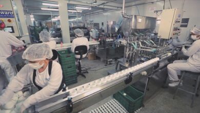 Grupo Bio Instinto contrata 50 auxiliares de produção em Anápolis com ganhos de até R$ 2,4 mil