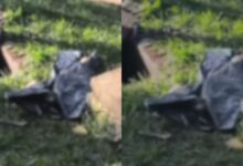 Recém-nascido encontrado em caixa de gordura choca Aparecida de Goiânia