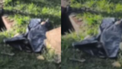 Recém-nascido encontrado em caixa de gordura choca Aparecida de Goiânia