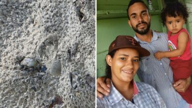 Buscas por bebê desaparecida em fazenda de Goiás ganham reforço após descoberta de pegadas