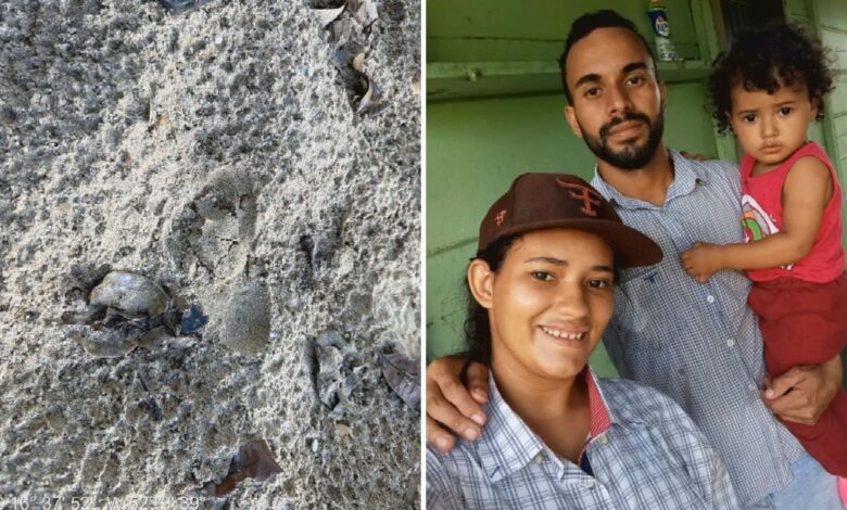 Buscas por bebê desaparecida em fazenda de Goiás ganham reforço após descoberta de pegadas