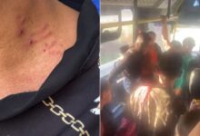 Jovem agride idosa em ônibus de Goiânia após desentendimento; polícia investiga caso