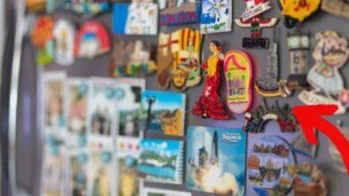 Ímãs na geladeira: entenda os riscos reais para o seu eletrodoméstico
