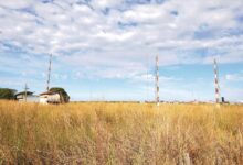 Leilão em Goiânia arremata antiga fazenda do Cerne por R$ 8,146 milhões