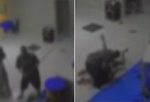 Violência em festa infantil: convidada é suspeita de lesão corporal e dano em Aparecida de Goiânia