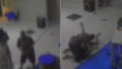 Violência em festa infantil: convidada é suspeita de lesão corporal e dano em Aparecida de Goiânia