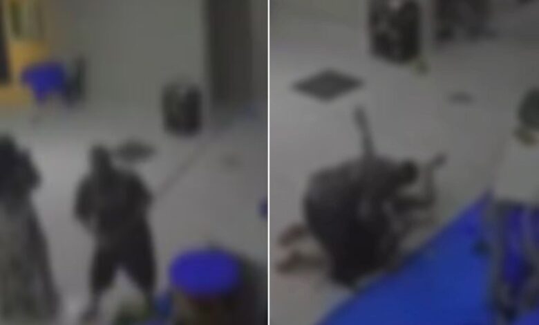 Violência em festa infantil: convidada é suspeita de lesão corporal e dano em Aparecida de Goiânia