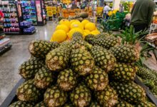 Guia prático para escolher frutas e legumes frescos e evitar desperdício no supermercado