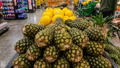 Guia prático para escolher frutas e legumes frescos e evitar desperdício no supermercado