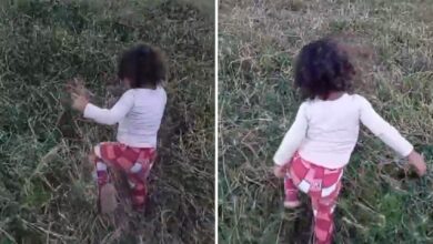 Investigação aponta que menina encontrada morta em Goiás tinha hábito de caminhar pela fazenda