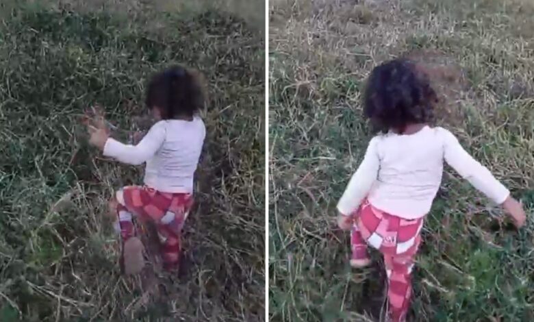 Investigação aponta que menina encontrada morta em Goiás tinha hábito de caminhar pela fazenda