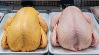 Frango com pele amarela ou branca: desvendando os mitos no supermercado