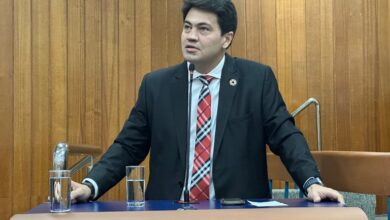Comissão de Constituição e Justiça aprova projeto para arborização com espécies frondosas em Goiânia