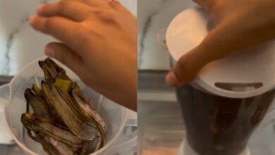 Casca de banana no liquidificador: como transformar resíduos em adubo caseiro