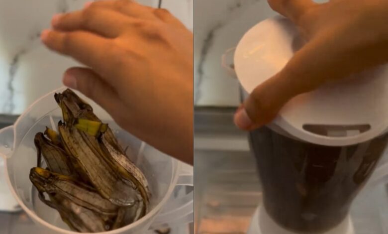 Casca de banana no liquidificador: como transformar resíduos em adubo caseiro