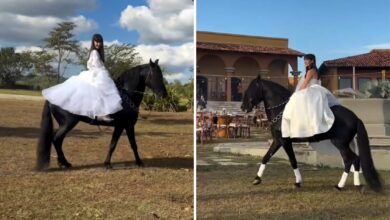 Noiva surpreende convidados com entrada a cavalo em casamento temático em Goiás