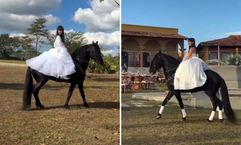 Noiva surpreende convidados com entrada a cavalo em casamento temático em Goiás