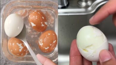 Descascar ovos cozidos sem complicação: chefs revelam truque com sal e vinagre