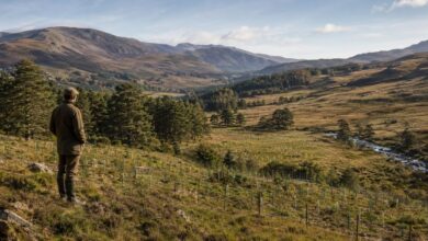 Visão ousada: herdeiro transforma 23 mil acres de montanhas estéreis em floresta vibrante após duas décadas