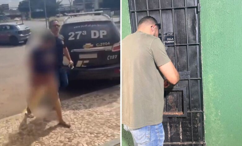 Polícia investiga esquema de entrega ilegal de crianças em Goiás e no Distrito Federal
