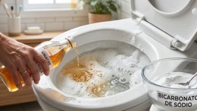 Bicarbonato e vinagre no vaso sanitário: entenda a eficácia desta mistura