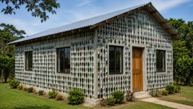 Casa de vidro: mãe e filha erguem residência sustentável com 8 mil garrafas em Pernambuco
