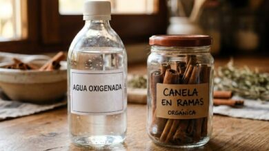 Cuidado de plantas: a mistura de água oxigenada e canela e seus benefícios na jardinagem