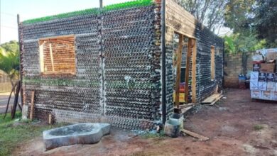 Casal de Foz do Iguaçu constrói casa de 70 m² com 10 mil garrafas e gasta apenas R$ 3 mil