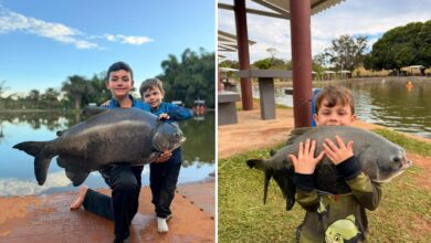 Irmãos goianos ganham destaque na internet ao pescar gigantes de até 130 kg