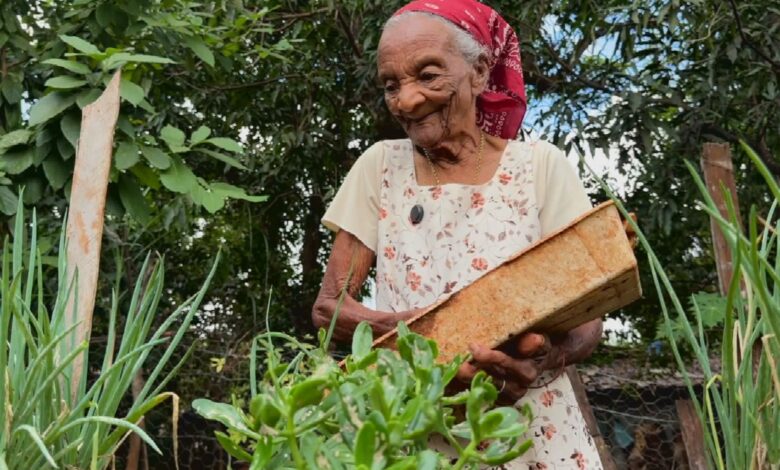 Aos 109 anos, vovó Joaninha cativa a internet com vitalidade e amor pelo forró