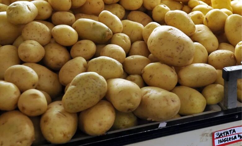 Preço da batata-inglesa dispara mais de 111% em Goiás e pressiona orçamento familiar