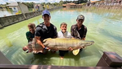 Jovem pescador de 12 anos fisga pirarucu de 130 kg em Goiás