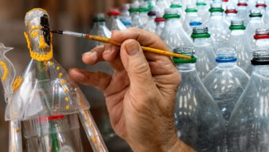 Reciclagem: aposentado transforma garrafas PET de rios em esculturas e inspira