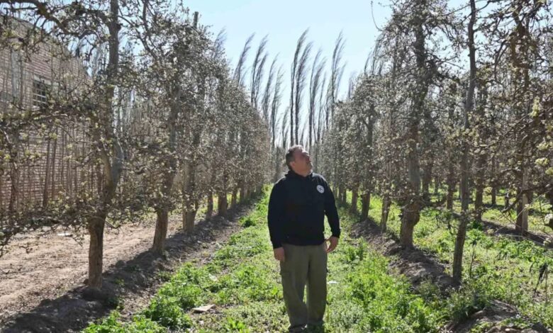 De feirante a gigante da fruticultura: a inspiradora jornada de Martín López na Patagônia argentina