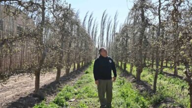 De feirante a gigante da fruticultura: a inspiradora jornada de Martín López na Patagônia argentina