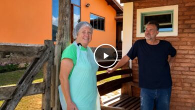 Da indústria farmacêutica ao campo: casal resgata tradição familiar com queijos artesanais